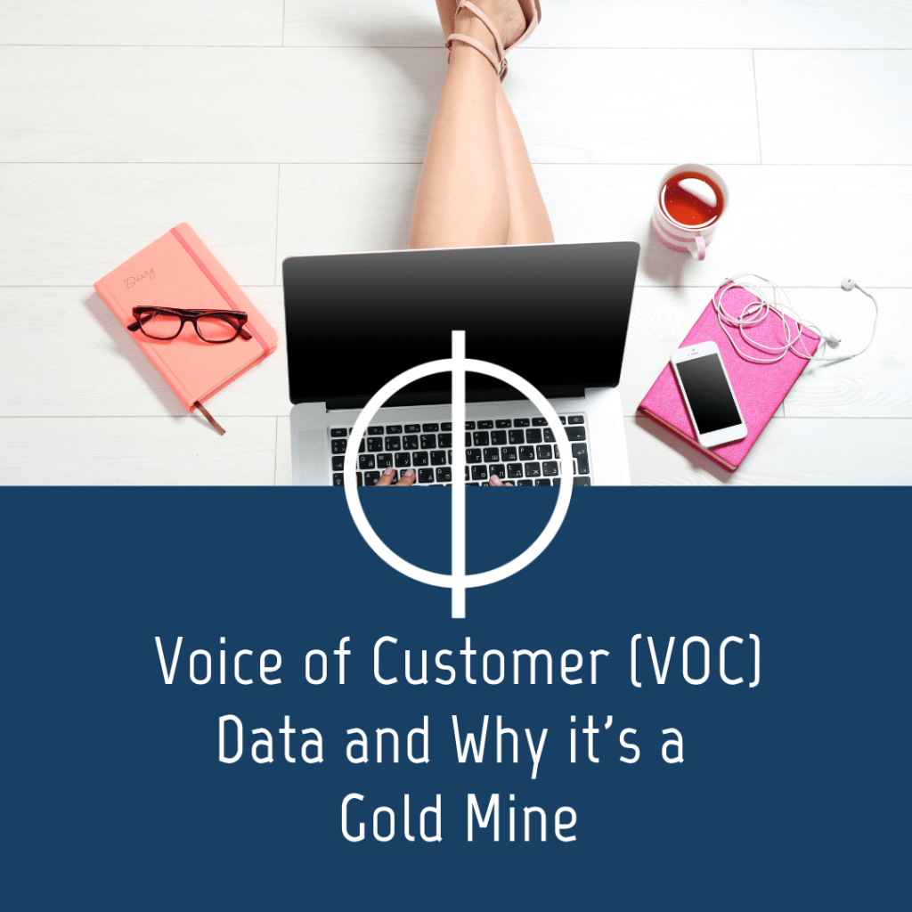 Voice of Customer Data