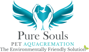Pure Souls - Meridian Digital Client (1)
